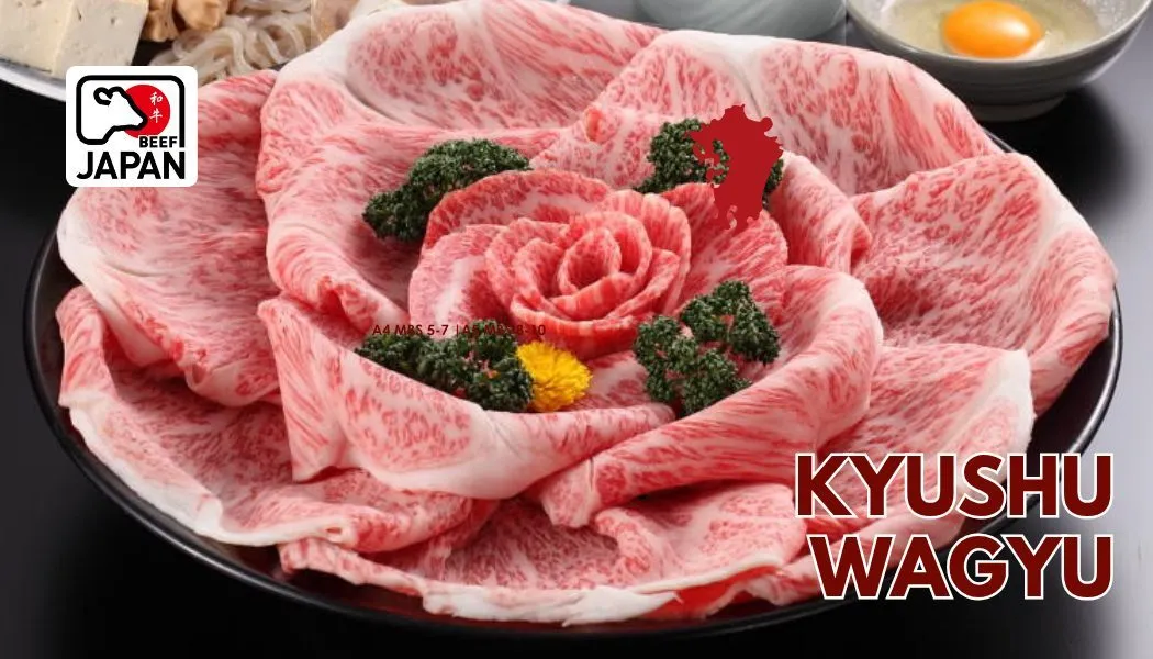 Kyushu Wagyu